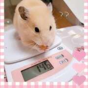 ヒメ日記 2025/02/07 06:58 投稿 白咲せいら セクシーキャット 神田店