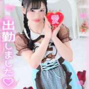 ヒメ日記 2025/02/14 09:15 投稿 白咲せいら セクシーキャット 神田店