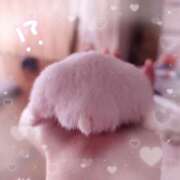 ヒメ日記 2025/02/26 00:13 投稿 白咲せいら セクシーキャット 神田店