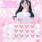 ヒメ日記 2025/03/24 18:50 投稿 白咲せいら セクシーキャット 神田店