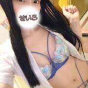 ヒメ日記 2025/03/26 00:37 投稿 白咲せいら セクシーキャット 神田店