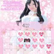 ヒメ日記 2025/03/30 21:30 投稿 白咲せいら セクシーキャット 神田店