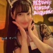 ヒメ日記 2025/04/12 14:32 投稿 白咲せいら セクシーキャット 神田店