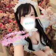 ヒメ日記 2025/04/17 22:56 投稿 白咲せいら セクシーキャット 神田店