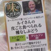 ヒメ日記 2025/05/08 15:54 投稿 白咲せいら セクシーキャット 神田店
