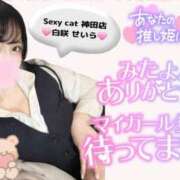ヒメ日記 2025/05/12 16:44 投稿 白咲せいら セクシーキャット 神田店
