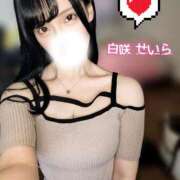 ヒメ日記 2025/05/19 19:13 投稿 白咲せいら セクシーキャット 神田店