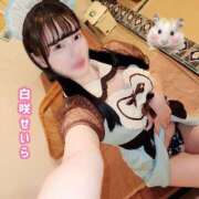 ヒメ日記 2025/05/25 12:16 投稿 白咲せいら セクシーキャット 神田店