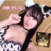 ヒメ日記 2025/05/31 00:15 投稿 白咲せいら セクシーキャット 神田店