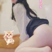 ヒメ日記 2025/06/03 07:30 投稿 白咲せいら セクシーキャット 神田店