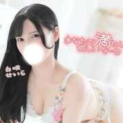 ヒメ日記 2025/06/23 13:30 投稿 白咲せいら セクシーキャット 神田店