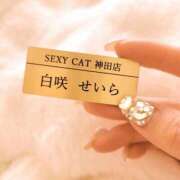 ヒメ日記 2025/07/04 21:00 投稿 白咲せいら セクシーキャット 神田店