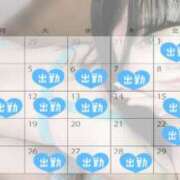 ヒメ日記 2025/07/23 15:30 投稿 白咲せいら セクシーキャット 神田店