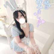 ヒメ日記 2025/08/26 08:15 投稿 白咲せいら セクシーキャット 神田店