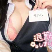 ヒメ日記 2025/09/04 16:07 投稿 白咲せいら セクシーキャット 神田店