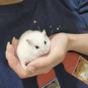 ヒメ日記 2025/09/21 08:02 投稿 白咲せいら セクシーキャット 神田店