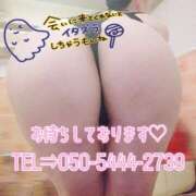 ヒメ日記 2025/10/24 08:15 投稿 白咲せいら セクシーキャット 神田店