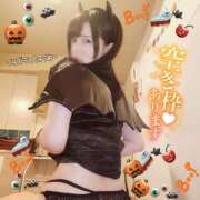 ヒメ日記 2025/10/31 08:02 投稿 白咲せいら セクシーキャット 神田店