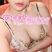 ヒメ日記 2025/11/30 09:30 投稿 白咲せいら セクシーキャット 神田店