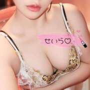 ヒメ日記 2026/02/02 12:13 投稿 白咲せいら セクシーキャット 神田店