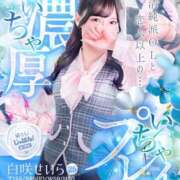 ヒメ日記 2026/02/05 00:00 投稿 白咲せいら セクシーキャット 神田店