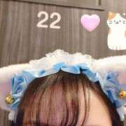 ヒメ日記 2026/02/22 12:57 投稿 白咲せいら セクシーキャット 神田店