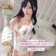 ヒメ日記 2026/03/25 07:02 投稿 白咲せいら セクシーキャット 神田店