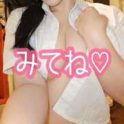 ヒメ日記 2026/03/29 10:40 投稿 白咲せいら セクシーキャット 神田店