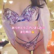 ヒメ日記 2026/04/02 15:49 投稿 白咲せいら セクシーキャット 神田店