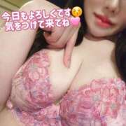 ヒメ日記 2026/06/24 07:02 投稿 白咲せいら セクシーキャット 神田店