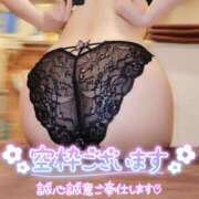 ヒメ日記 2026/08/28 07:15 投稿 白咲せいら セクシーキャット 神田店