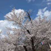 ヒメ日記 2025/04/12 22:07 投稿 【熟女】しおり 人妻華道－上田店