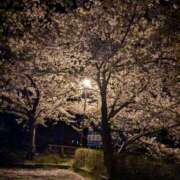 ヒメ日記 2025/04/19 20:33 投稿 【熟女】しおり 人妻華道－上田店