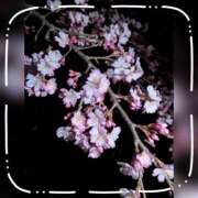 ヒメ日記 2026/03/28 08:46 投稿 【熟女】しおり 人妻華道－上田店