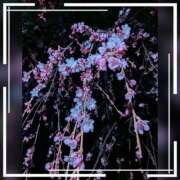 【熟女】しおり ※無題 人妻華道－上田店