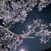 ヒメ日記 2026/04/16 06:32 投稿 【熟女】しおり 人妻華道－上田店