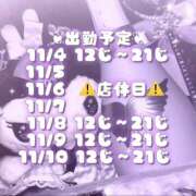 ヒメ日記 2024/11/03 22:20 投稿 める アレグリア