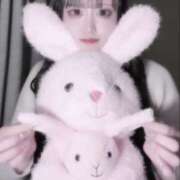 ヒメ日記 2024/12/13 09:05 投稿 める アレグリア