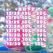ヒメ日記 2024/12/23 11:10 投稿 める アレグリア