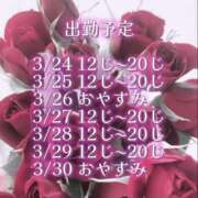 ヒメ日記 2025/03/23 21:01 投稿 める アレグリア