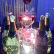 ヒメ日記 2025/04/15 20:00 投稿 める アレグリア