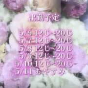 ヒメ日記 2025/05/06 12:20 投稿 める アレグリア