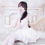 める めるさん③ アレグリア