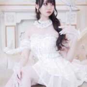 める めるさん④ アレグリア