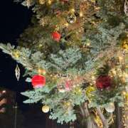 ヒメ日記 2024/12/23 23:16 投稿 みな アレグリア