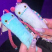 ヒメ日記 2026/01/16 21:51 投稿 みな アレグリア