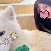 ヒメ日記 2025/08/02 22:14 投稿 ゆうき アレグリア