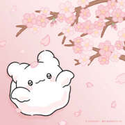 ヒメ日記 2026/04/02 19:06 投稿 ひなの アレグリア