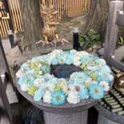 ヒメ日記 2026/04/27 21:40 投稿 ひなの アレグリア