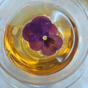 ひなの います🐱 アレグリア